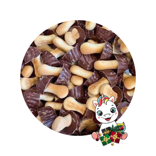 Champignons chocolat au lait (lot de 10)